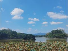 -江心屿景区