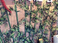 -左陕右甘(亚运村店)