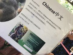 -可伦宾野生动物保护区