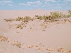 -黄沙古渡原生态旅游区
