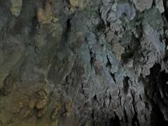 -怀托摩萤火虫洞