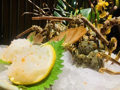 -芥末日本料理(打浦路铂尔曼旗舰店)