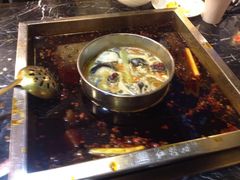 -红鼎坊·老成都火锅(新南门店)