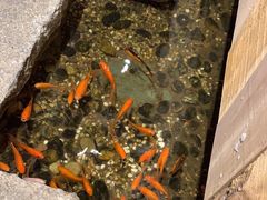 -邈墨茶馆(凤起路店)