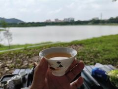 -风云岭森林公园