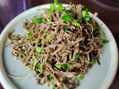 香椿苗黑豆腐丝-恭敬李·烤鸭(天坛北门店)