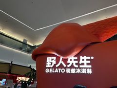 -野人先生现做冰淇淋(北京王府井东方新天地店)