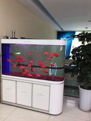 -成都军建医院·疤痕诊疗中心