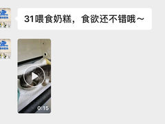 -虹泰宠物医院 ·旗舰店·24h(南秀路店)