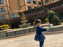 -云龙轩(迪士尼探索家度假酒店)