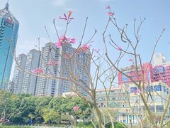 -南宁南湖公园