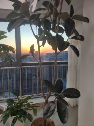 -HEYAN荷妍专业脱毛连锁机构