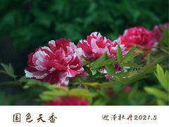 -迎泽公园