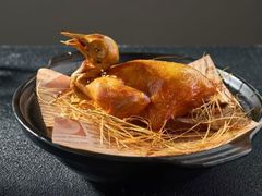 -鸽小宝(深圳首店)