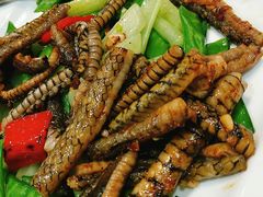 -顺德了能馆(虎门店)