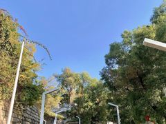 -彳亍咖啡·这里(水湾路店)