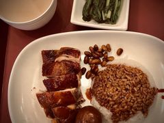 -了凡油鸡饭·面(台北101店)