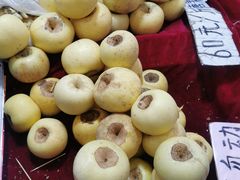 -中国农业博物馆