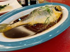 清蒸黄瓜鱼-花开富贵平潭海鲜楼(平潭店)