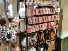 -猫咪博物馆(顶澳仔猫街店)