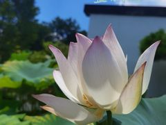 -杭州植物园