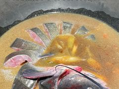 -桃源村铁锅炖鱼(体育馆道店)