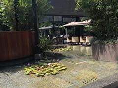 -Tivano意大利餐厅(成都居舍酒店)