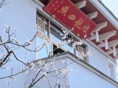 -无锡梅园公园