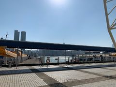 -澳门环岛游湾仔码头