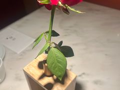 -初蓉丨遇见新川菜(亲贤街荣耀店)