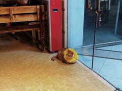 -逃脱反斗城沉浸剧情密室(北京路店)