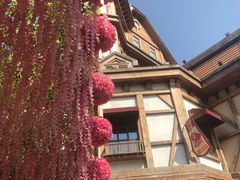 -郑州方特梦幻王国