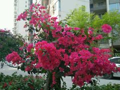 android_upload_pic-铁路文化公园
