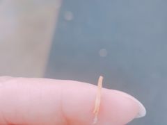 -胡仁根胡记炸炸炸