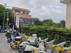 -广西壮族自治区博物馆