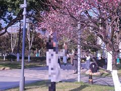 -天鹅湖体育公园