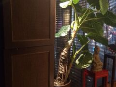 -Dragonfly 悠庭·按摩Spa(苏州中心广场店)