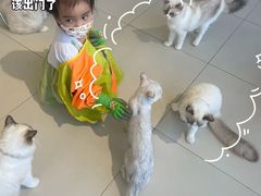 -怪兽屋·羊驼·猫咖·狗咖(俊华广场店)