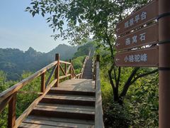 -大岭沟猕猴桃谷风景区