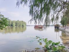 -东湖落雁景区