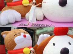 -PO PARK东方宝泰