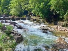 -广州白江湖森林公园