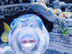 -成都浩海立方海洋公园