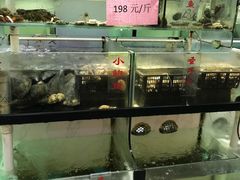 -联邦酒楼