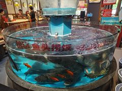 -魏铭鱼头捞饭(晋阳路店)