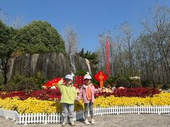 -合肥滨湖国家森林公园