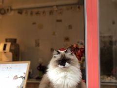 -灯塔咖啡馆BOOK·Coffee Shop