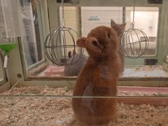 -龙猫仔乐园(惠福东路店)