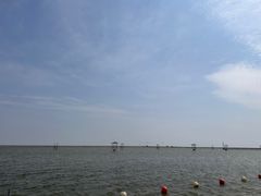-碧海金沙