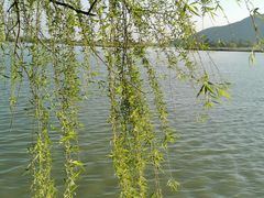 -南北湖风景区